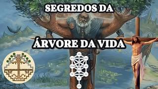 O ENIGMA DA ÁRVORE DA VIDA: Descubra Seu Significado Oculto