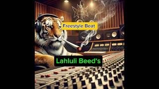 #beat #beats #freestylerap #freestyle #rap #hiphop #studio #musik #lahlulibeeds #dm