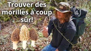 3 astuces ULTIMES pour trouver des morilles à coup sûr en 2023! SECRET de grand-père.