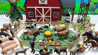 Farm Diorama For Farm Animals | Cow Horse Chicken Duck Sheep Dog Cat