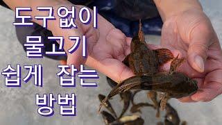 동족도 잡아먹는"최고급 물고기" 잡아서 어머니와 산삼주 한잔~