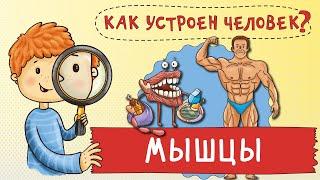 Как работают мышцы? Путешествие по вашему телу. Развивающий мультик для детей.