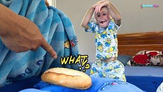 Monkey Kyo regrets hiding all Dad's bread - Funny ending!