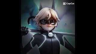Rabbit noir