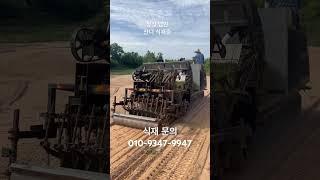 #잔디관리 #farming #잔디 #잔디심기 #골프잔디