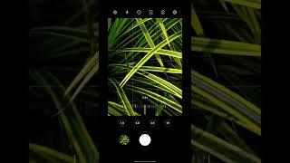 Simple Mobile Photography Idea #photography #mobilephotography #editing #nature #photo #photographer