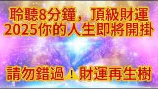 ️ 金錢 冥想 【顯化加速100倍 財富再生金錢樹】㊗️2025人生開掛㊗️讓你的家和環境被金水財氣包圍 ㊗️接正財運 偏財運㊗️不看就錯過的金錢祝福㊗️貧窮的業力會被沖刷乾淨㊗️財氣來！這太瘋狂！