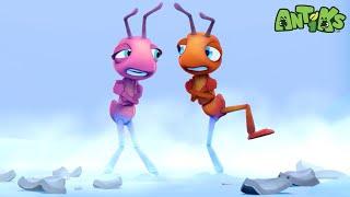 Trapped in Cement! Can They Escape? ‍️| Antiks | Animals And Creatures Cartoon In Hindi