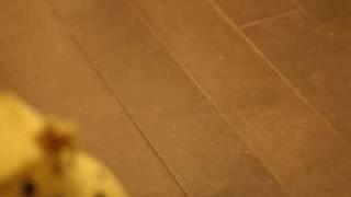the cheat walking
