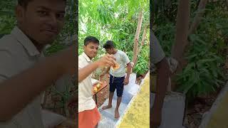 Thrilling Water Bucket Ball Challenge: Village Women Skillfully Drop Balls into Rotating Buckets