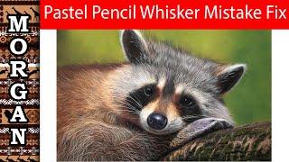 Pastel Pencil Painting - Whiskers Fix - Jason Morgan Art