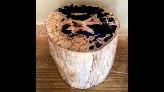 Petrified Wood Stool End Table