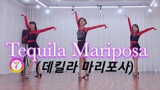 [블라썸] Tequila Mariposa(데킬라 마리포사) Line dance #데킬라마리포사 #오세인