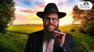 Rabbi Yair Massri - Chaye Sarah - Only good thoughts.