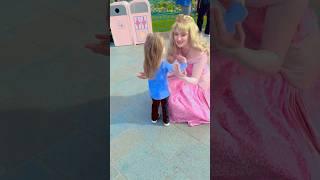  My Daughter’s Magical Moment Meeting a Disney Princess! 