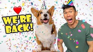 My CORGI Turns 11! I Give Him The Best Day Ever! || Life After College: Ep. 785