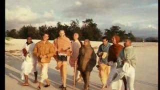 Prabhupada's Wisdom Series:One Cause