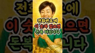 전화번호에 이 숫자 있으면 돈복 터집니다 #전화번호운세 #재물운 #숫자풍수 #금전운폭발 #복번호 #행운마당