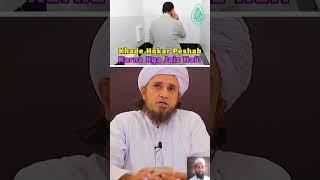 khade ho kar peshab Karna? | mufti tariq masood | naeem solkar react #islamic #deen