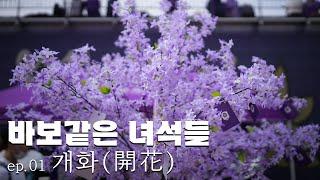 [FC안양] Episode 01. 개화(開花) ｜바보같은 녀석들｜