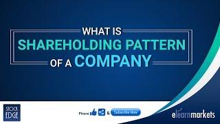 What is Shareholding Pattern of a company?