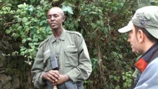 Ranger briefs tourists, Volcanoes NP, Rwanda