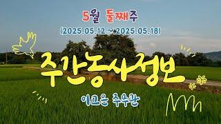 [ 주간농사정보 ] 5월 2째주 (2025. 05. 12. ~ 05. 18.)