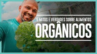 5 MITOS OU VERDADES SOBRE ALIMENTOS ORGÂNICOS