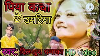 piya kanche chhai umariya ! Dilkhush dhamaka maithili song 2022 maithili ...