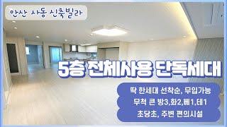 안산 사동 신축빌라 - 5층 전체사용 단독세대, 큰 방 3룸, 무입가능