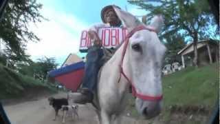 Donkey-Backed 'Biblioburro' Delivers Books to Thousands across Colombia Part 1