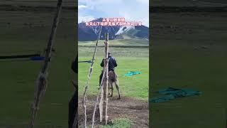 骑毛驴的哈萨克族大叔 #新疆哈萨克族