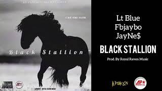 Black Stallion - Lt Blue x FBjaybo x JayNe$ (Prod. By Royal Raven Music) Official Audio