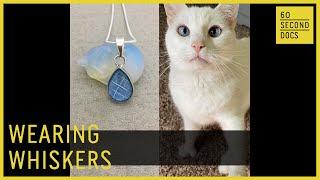 Wear Your Cat’s Whiskers | Volana Kote