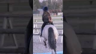 Louis got scared  #natalia #snowballfarm #louis #pony #horseriding #horse #showjumping