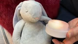 'Moonie' Baby Sleeping Aid