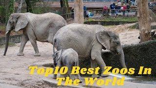 Top10 Best Zoos In The World