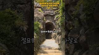 동굴속에 숨겨져 신비로운 대한민국 사찰 여행지 TOP 11   #여행 #여행지추천 #국내여행