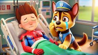 What Happened to SPIDER MAN RYDER?! CHASE Please Don't Cry | So Sad Story | Paw Patrol 3D Animation