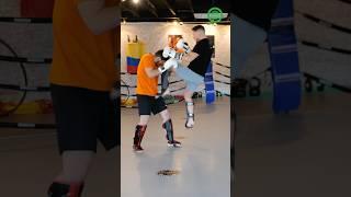 Dutch Kickboxing - Knees to the Head Knockouts with Andy Souwer