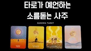 [타로I예언] 타로가 예언하는 당신의 사주