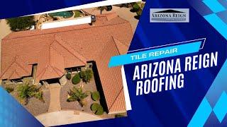 Timelapse of 5 day Tile Repair in 3 minutes