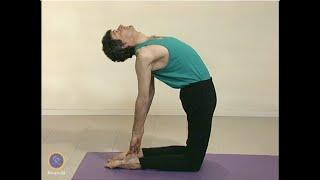 A Yoga Routine for Harmonizing the Heart with Nayaswami Gyandev - Ananda Yoga (27 minutes)