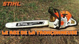 L'histoire de Stihl: Le Roi de la Tronçonneuse