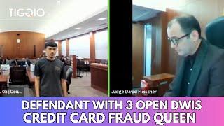 Credit Card Fraud Queen Picks Up A New Charge: Judge Fleischer