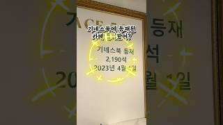 김포 대형카페 기네스북 등재된 포지티브스페이스566 #김포대형카페 #김포기네스북카페 #감포카페 #김포가볼만한곳 #김포데이트코스 #포지티브스페이스566
