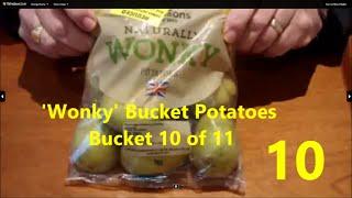 10.  Grow Potatoes. 'Wonky' Bucket Potatoes This is Trial Bucket 10 of 11