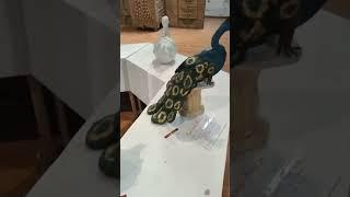 Amazing Experience  Wonderful  Art work,️#artwork #artgallery ##artandcraft #artandcraft