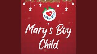 Mary's Boy Child