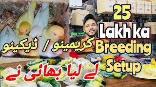 25 Lakh ka Creamino Decino setup le liya bhai ne  cages k sath